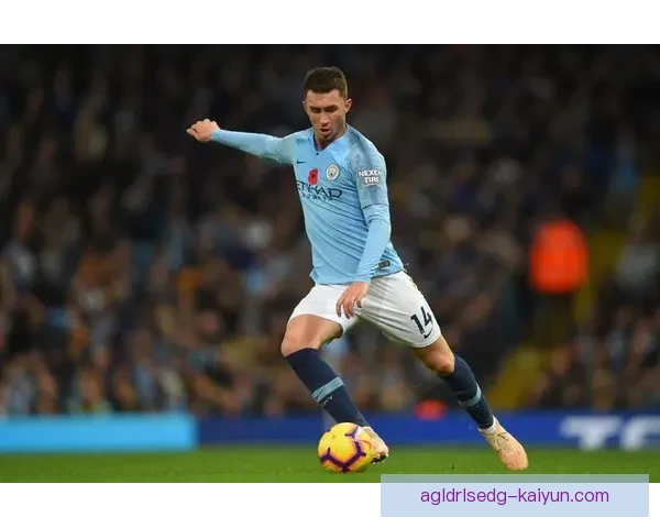 拉波尔特技术全面性持续提升，备受期待在本赛季发挥关键作用。