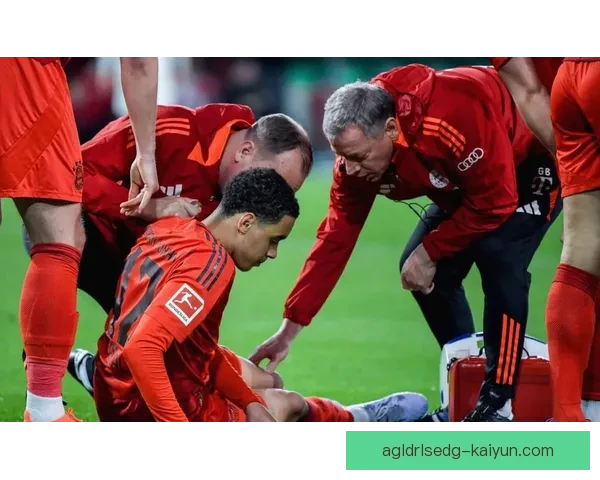 德甲中场配置升级，球队竞争力增强引发关注