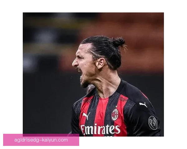 伊布职业轨迹分析：各阶段表现稳健，成就斐然