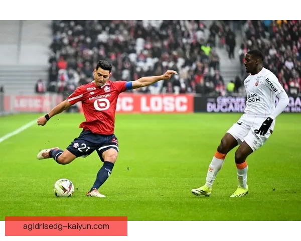 达姆斯高国家队近期表现稳健，状态持续提升升